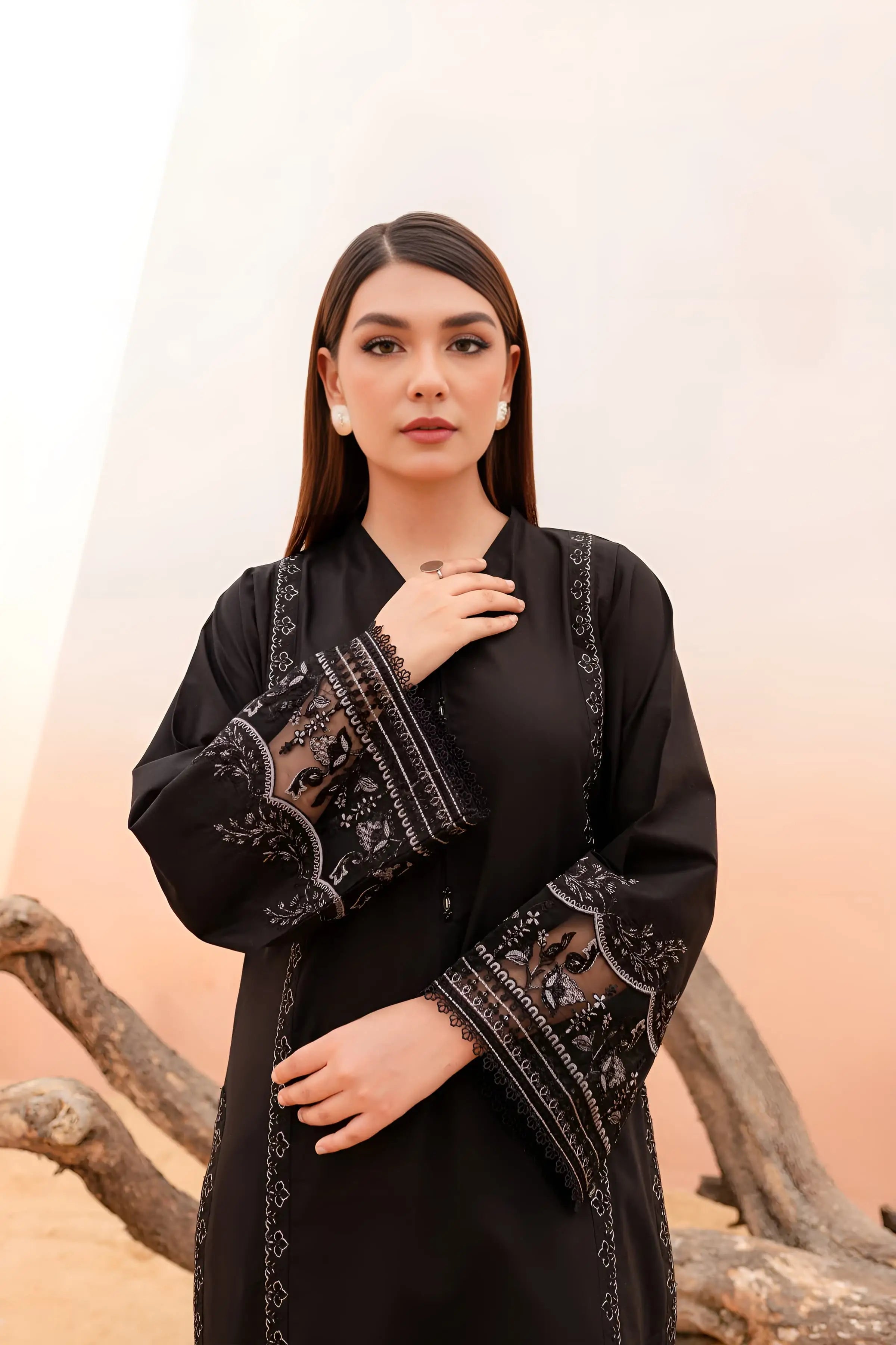 Winter - Black Rose - 2Pc Embroidered Dress